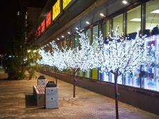 Фотогалерея / Photo gallery