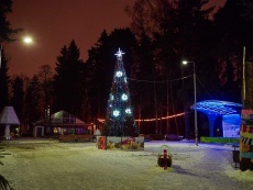 Городской парк зимой / City park in winter