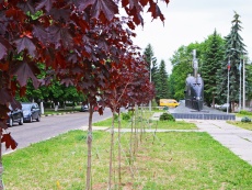 Фотогалерея / Photo gallery