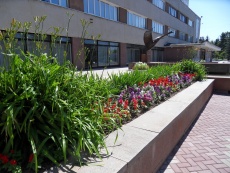 Фотогалерея / Photo gallery