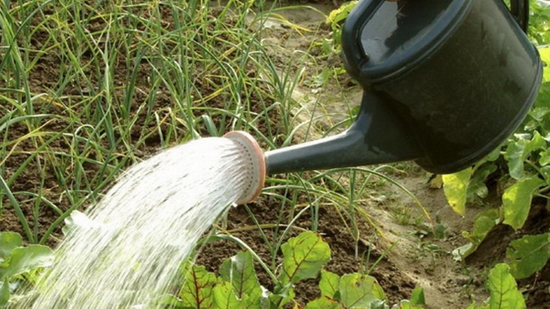 Уважаемые садоводы города Обнинска!