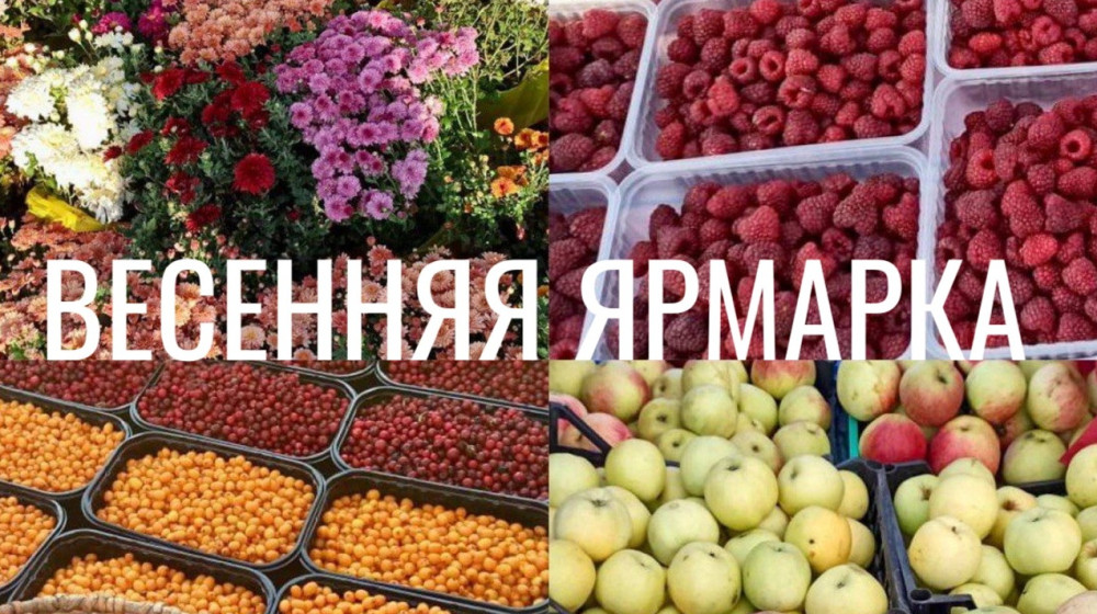 Очередная сельскохозяйственная ярмарка состоится 28 марта