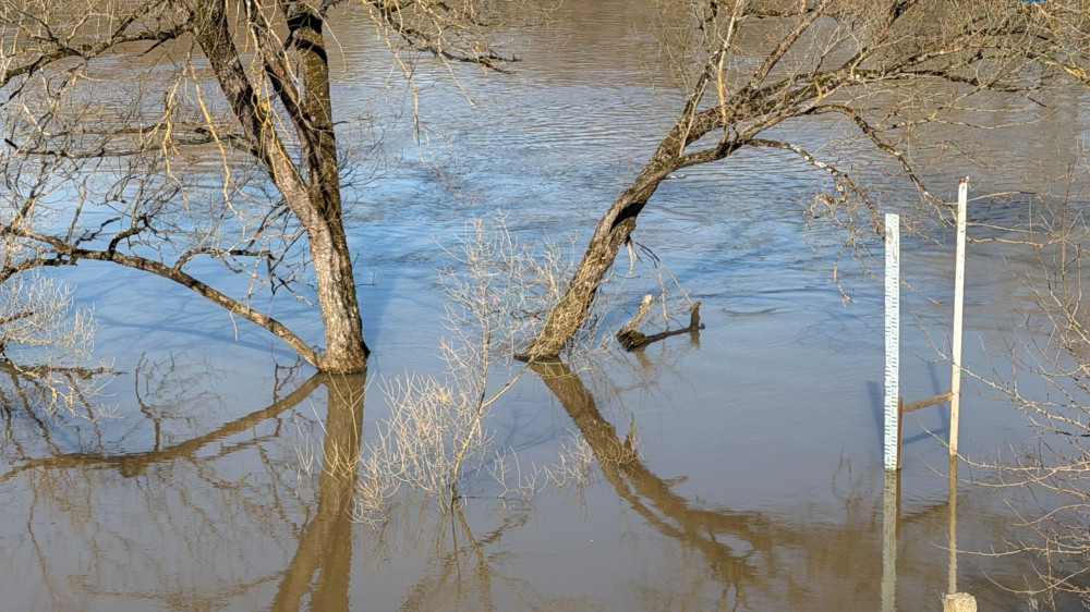 Река Протва вернулась в русло после паводка