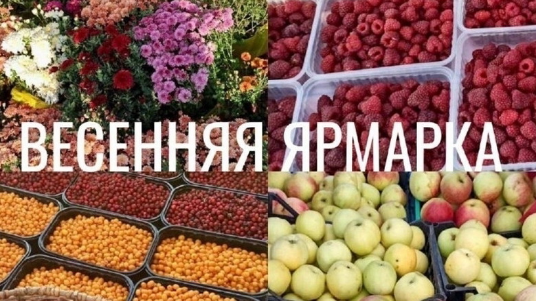 Сельскохозяйственная ярмарка состоится 25 апреля