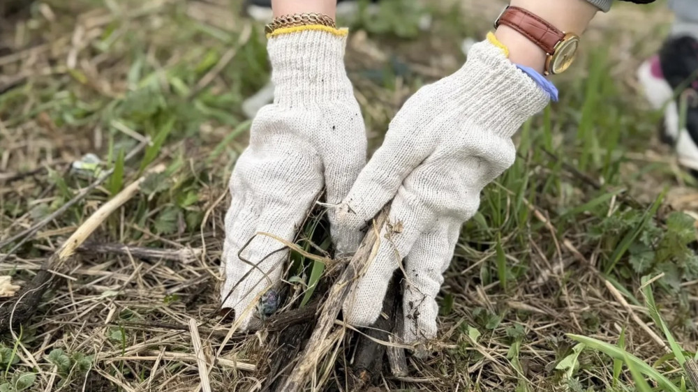 Все на субботник 25 апреля!