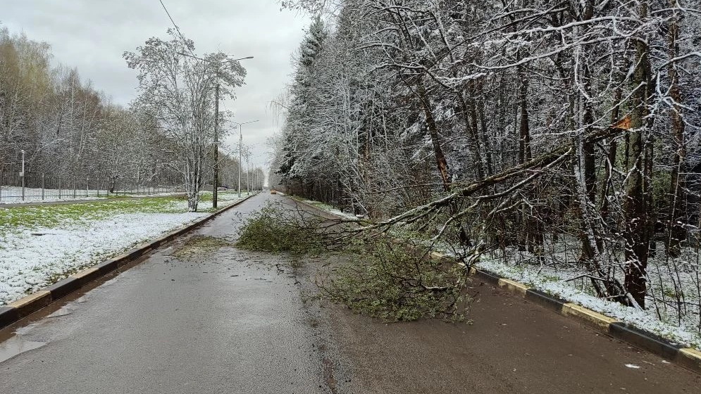 В Обнинске устраняют последствия непогоды