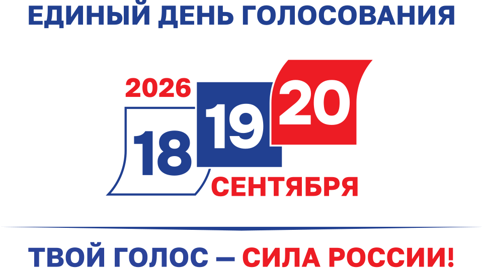 С процедурой дистанционного электронного голосования можно ознакомиться заранее