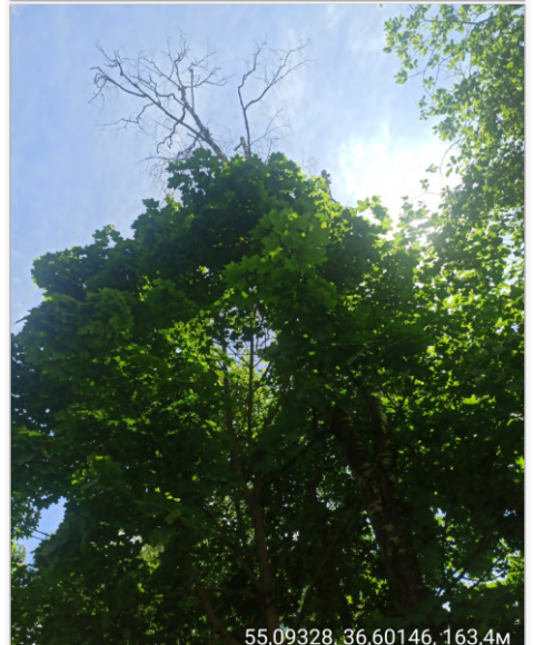 Акт № 3479 от 25.08.2026 №5
