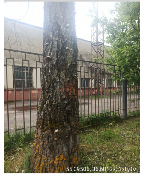 Акт № 3479 от 25.08.2026 №7